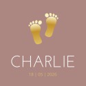 Geboortekaartje voetjes goud roze Charlie voor