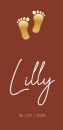 Modern geboortekaartje voetjes goud Lilly voor