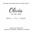 Geboortekaartje Voetjes Watercolour Olivia binnen