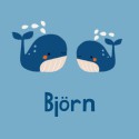 Geboortekaartje walvis Björn voor