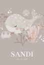 Geboortekaartje meisje walvis Sandi voor
