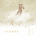 Geboortekaartje neutraal giraffe wolken geel Sverre voor