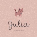 Geboortekaartje Prénatal poes roze Julia voor