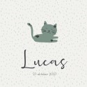 Geboortekaartje Prénatal poes groen Lucas voor