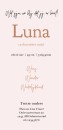 Geboortekaartje meisje roze met foto Luna achter