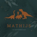 Geboortekaartje jongen silhouette dinosauriërs Mathijs voor