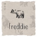 Geboortekaartje Prénatal zoon beer grijs Freddie voor