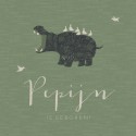 Geboortekaartje Prénatal zoon nijlpaard groen Pepijn voor