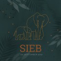 Geboortekaartje jungle koperfolie olifanten Sieb voor