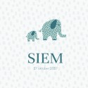 Geboortekaartje Prénatal mint groen blauw olifanten Siem voor