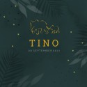 Geboortekaartje olifanten goudfolie Tino voor