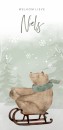 Geboortekaartje jongen bos beer groen Niels voor