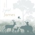 Geboortekaartje jongen silhouette bosdieren James