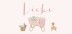 Geboortekaartje kinderkamer met wieg, mand en beer Lieke