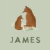 Geboortekaartje jongen vos dieren James