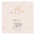 Geboortekaartje Prénatal konijn roze Jipp