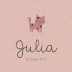 Geboortekaartje Prénatal poes roze Julia