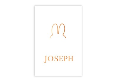 1711-1-geboortekaartje-joseph-koperfolie-koper-folie-nijntje-oren