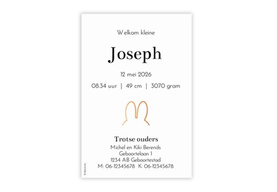 1711-2-geboortekaartje-joseph-koperfolie-koper-folie-nijntje-oren