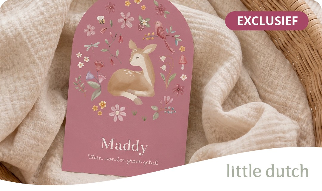 Exclusieve geboortekaartjes met Little Dutch