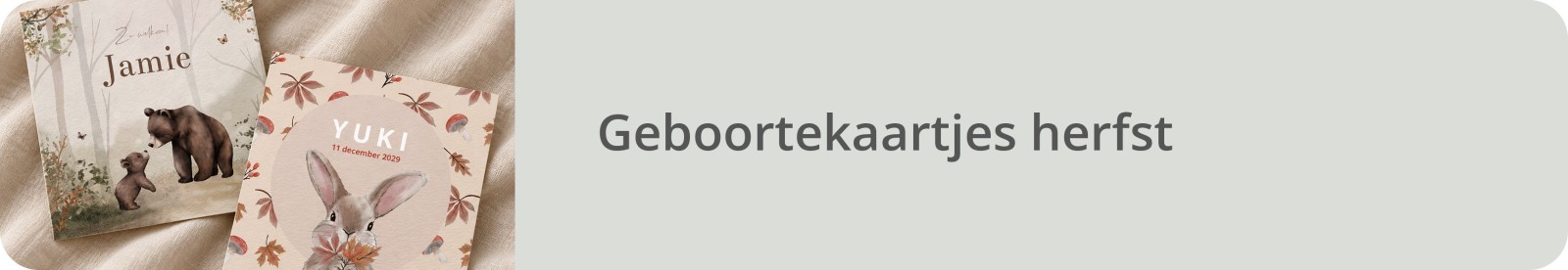 Bekijk alle herfst geboortekaartjes