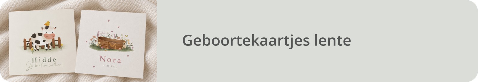 Bekijk alle lente geboortekaartjes