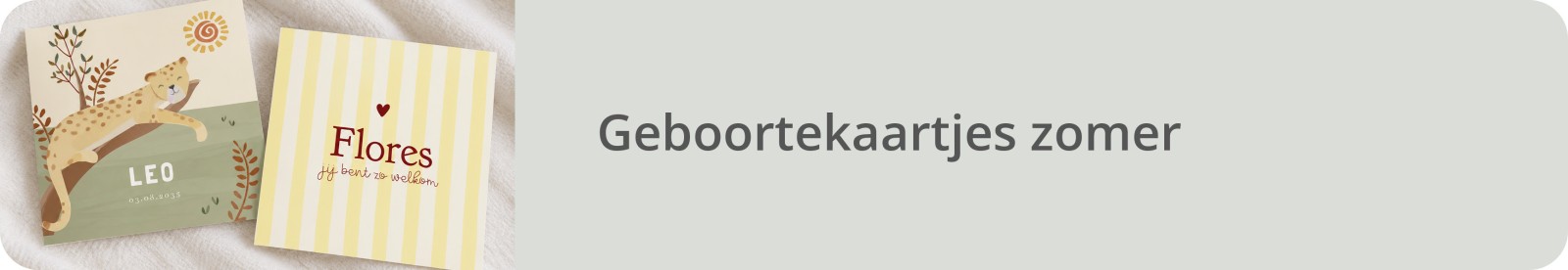 Bekijk alle nieuwe geboortekaartjes