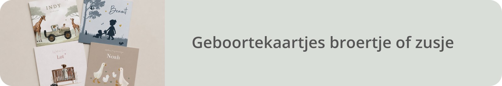 Bekijk alle geboortekaartjes voor broertje of zusje