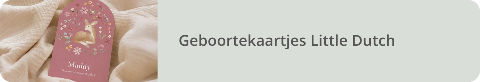 Bekijk alle Little Dutch geboortekaartjes
