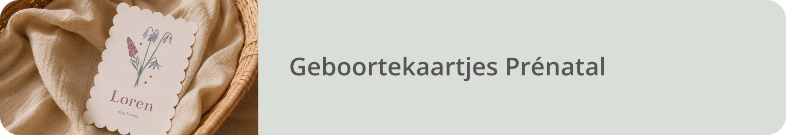 Bekijk alle Prénatal geboortekaartjes