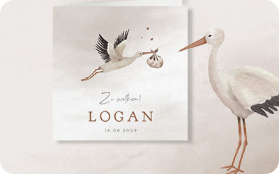 Geboortekaartjes dieren jongen meisje neutraal origineel uniek