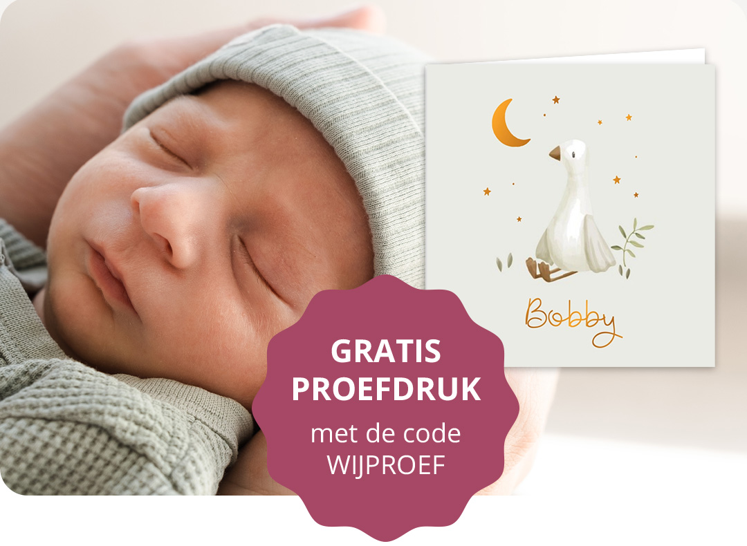 Alle geboortekaartjes 