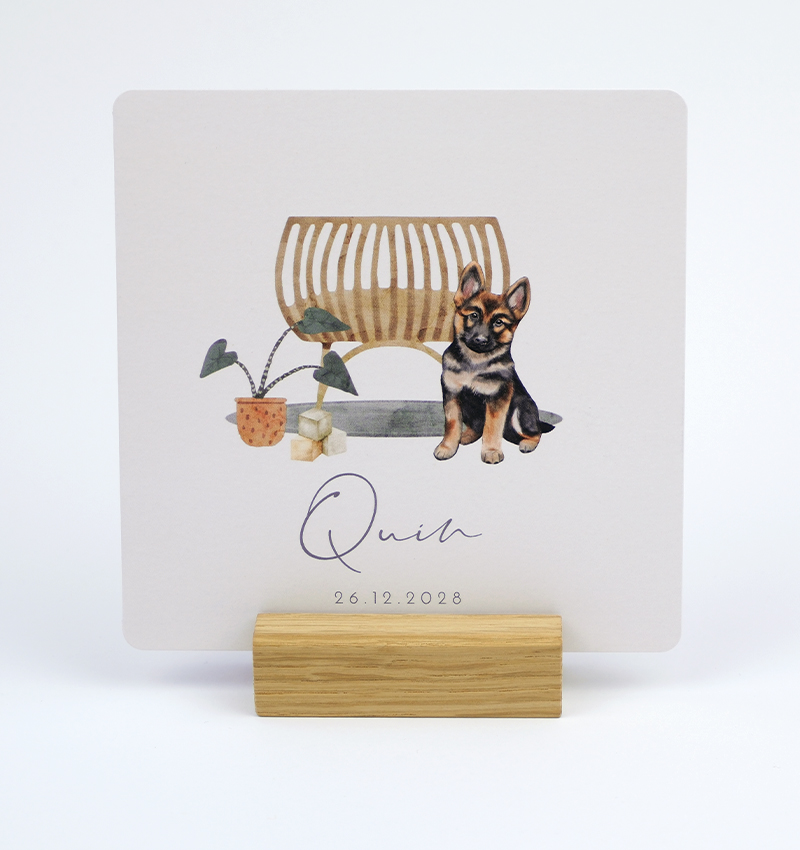 Geboortekaartjes met dieren neutraal 