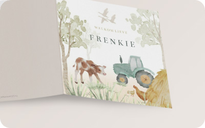 Geboortekaartjes dieren voor een jongen, bosdieren, jungle, beer, hert, olifant, giraf
