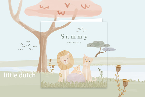 Geboortekaartjes Little Dutch exclusief