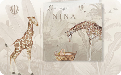 Geboortekaartjes dieren, bosdieren, jungle, beer, hert, olifant, giraf