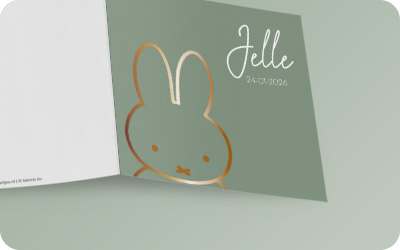 Geboortekaartjes nijntje, Dick Bruna, Mercis, oren, konijn