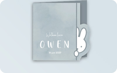 Geboortekaartjes nijntje voor een jongen, blauw, groen, Dick Bruna, oren, konijn