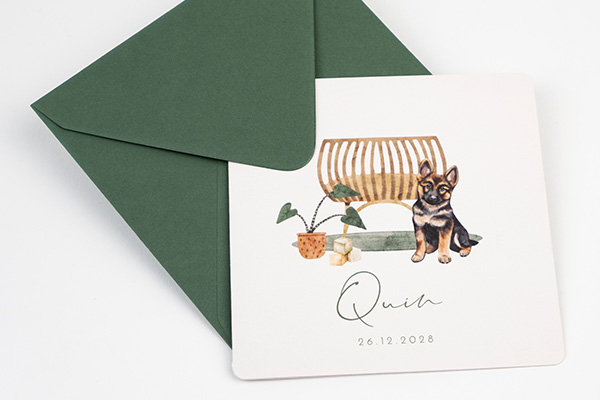 Geboortekaartjes trends 2026 – inspiratieblog