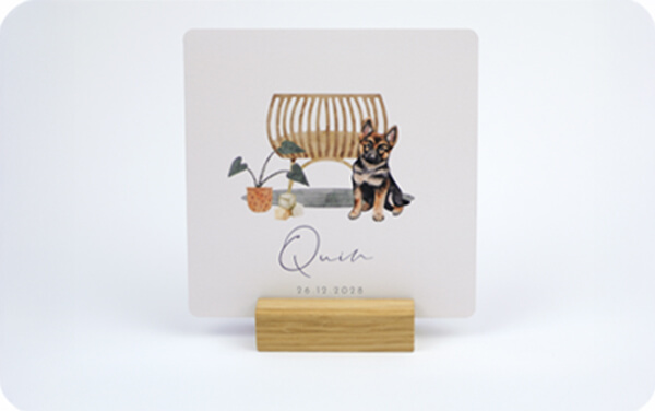 Geboortekaartjes met dieren voor jongens, meisjes, neutraal, bosdieren, jungledieren, huisdieren, oceaandieren