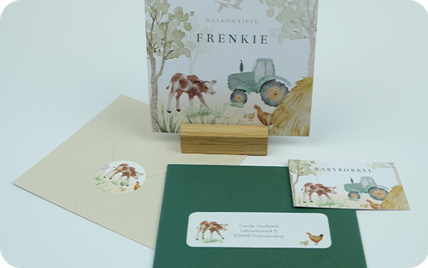 Wat zijn de verzendkosten?